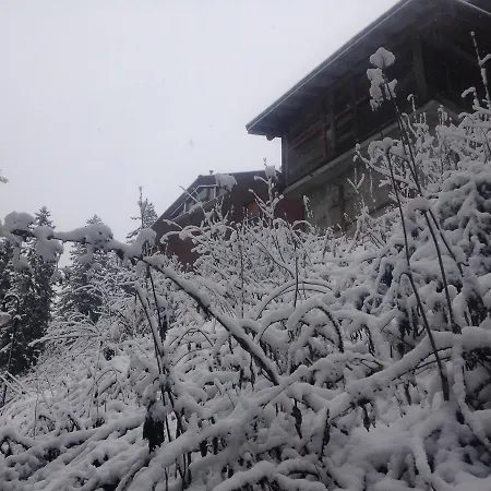 Herberg Maya Joie 2*