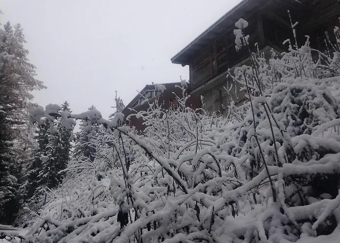 Herberg Maya Joie 2*