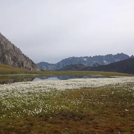 Maya Joie Мини-отель