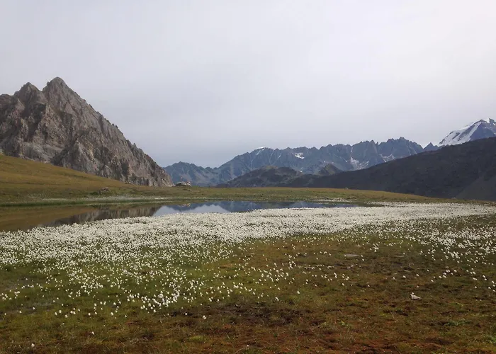 Maya Joie Mini-hôtel